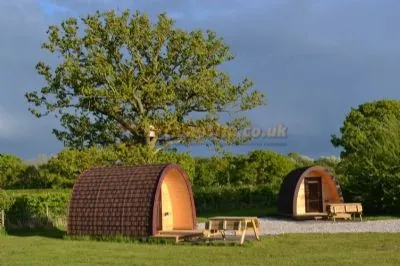 Two timber camping pods beneath a mature oak at Wagtail Park, York